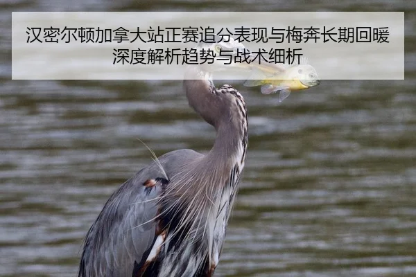 han-mi-er-dun-jia-na-da-zhan-zheng-sai-zhui-fen-biao-xian-yu-mei-ben-chang-qi-hui-nuan-shen-du-jie-xi-qu-shi-yu-zhan-2-495.jpg
